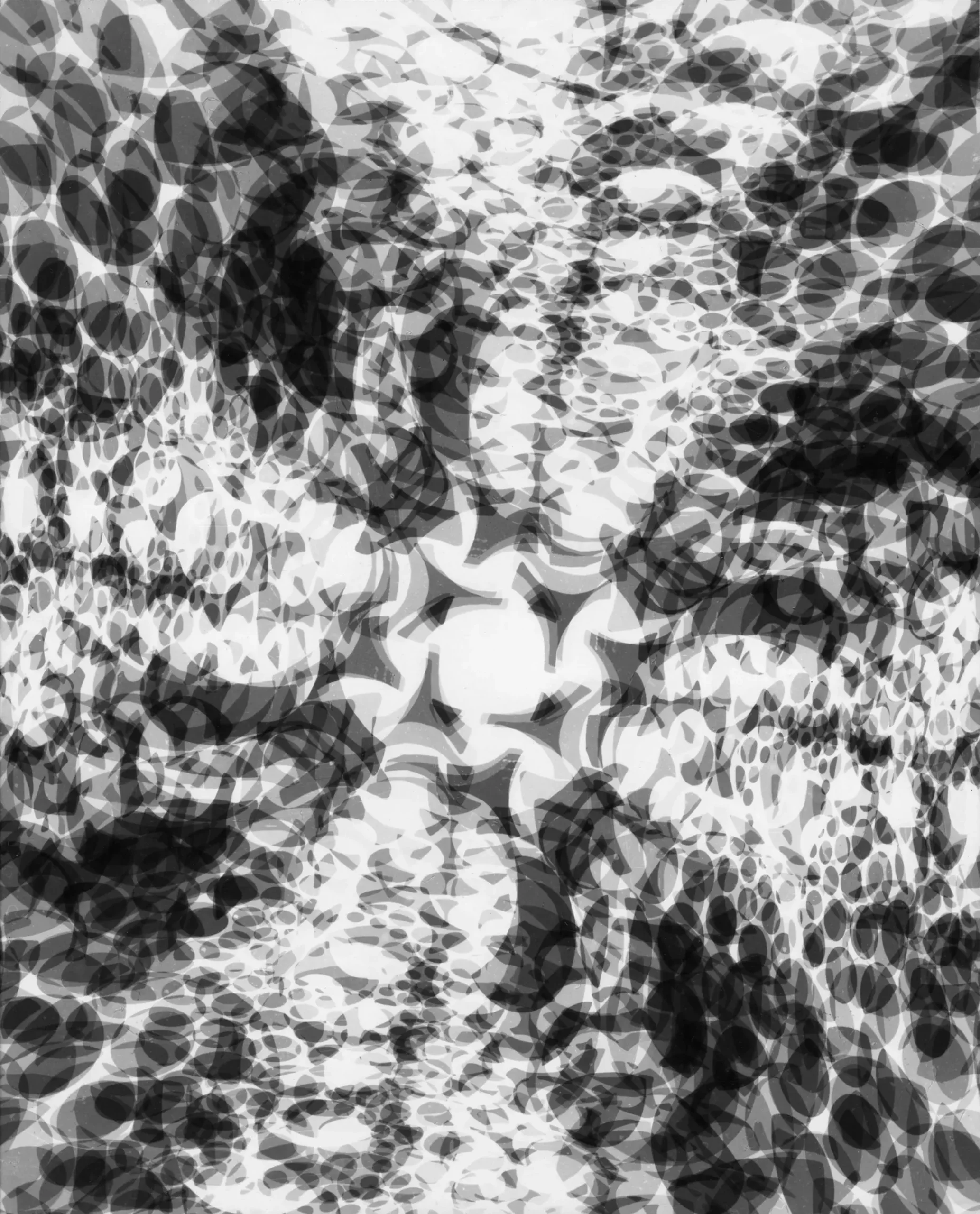 Ohne Titel