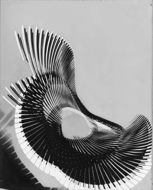 D3 · Nr. 37