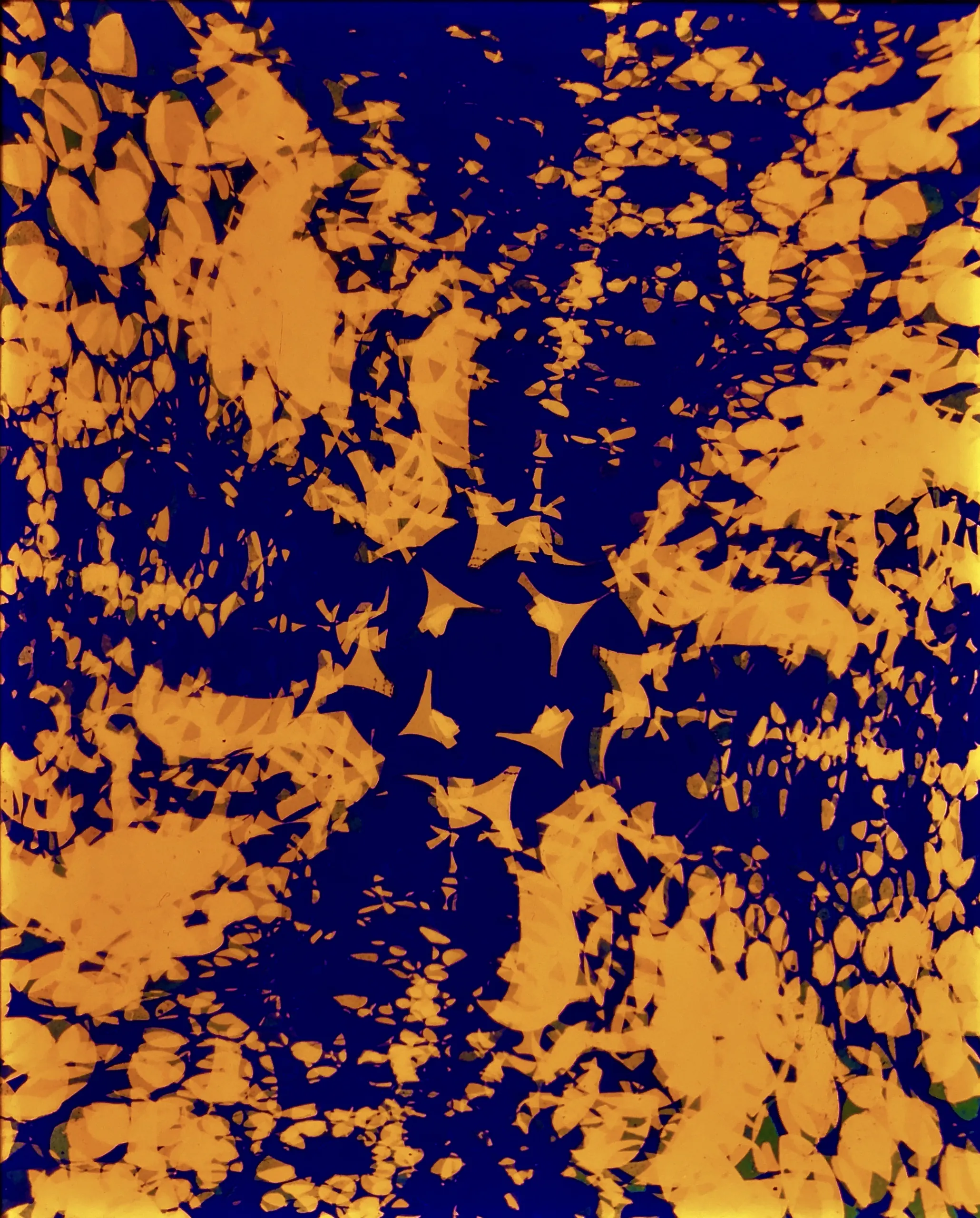 Ohne Titel