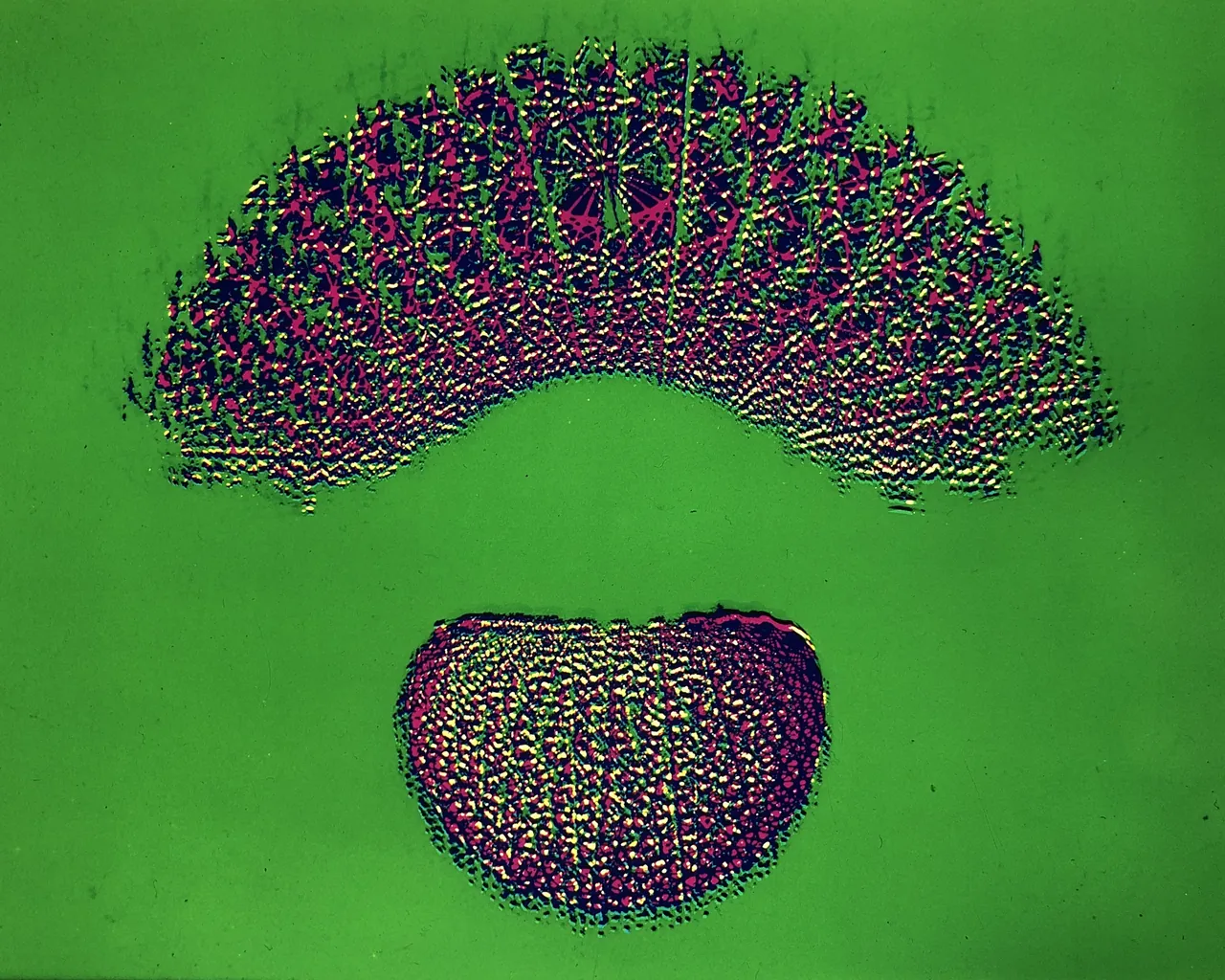 D7c/green · Nr. 093